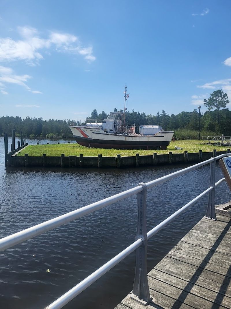 The Boardwalk and Wetlands Trail: A Walk Worth Slowing Down For