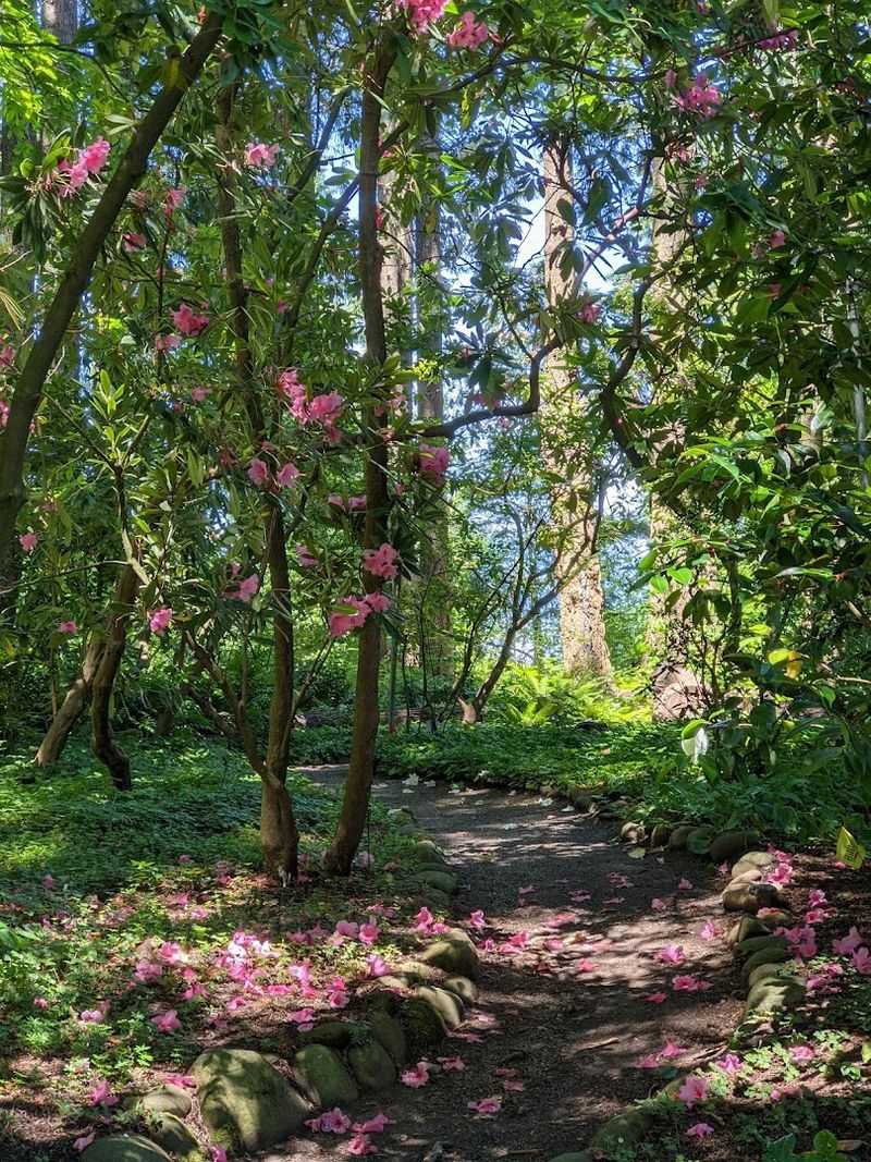 The Plant Collection That Spans the World