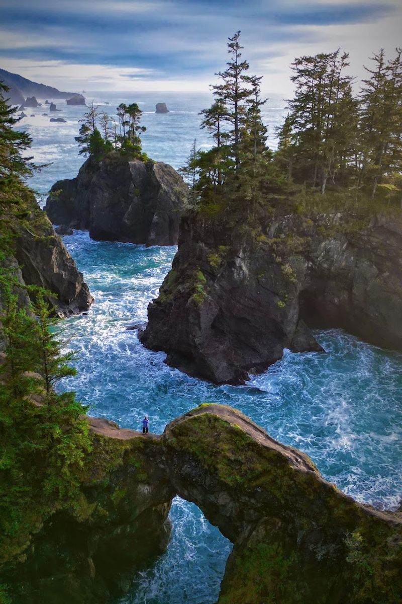 Natural Bridges Viewpoint, Brookings, Oregon