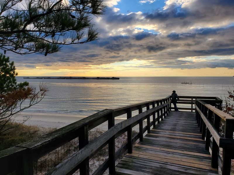 World-Class Hawk Watching on the Eastern Shore