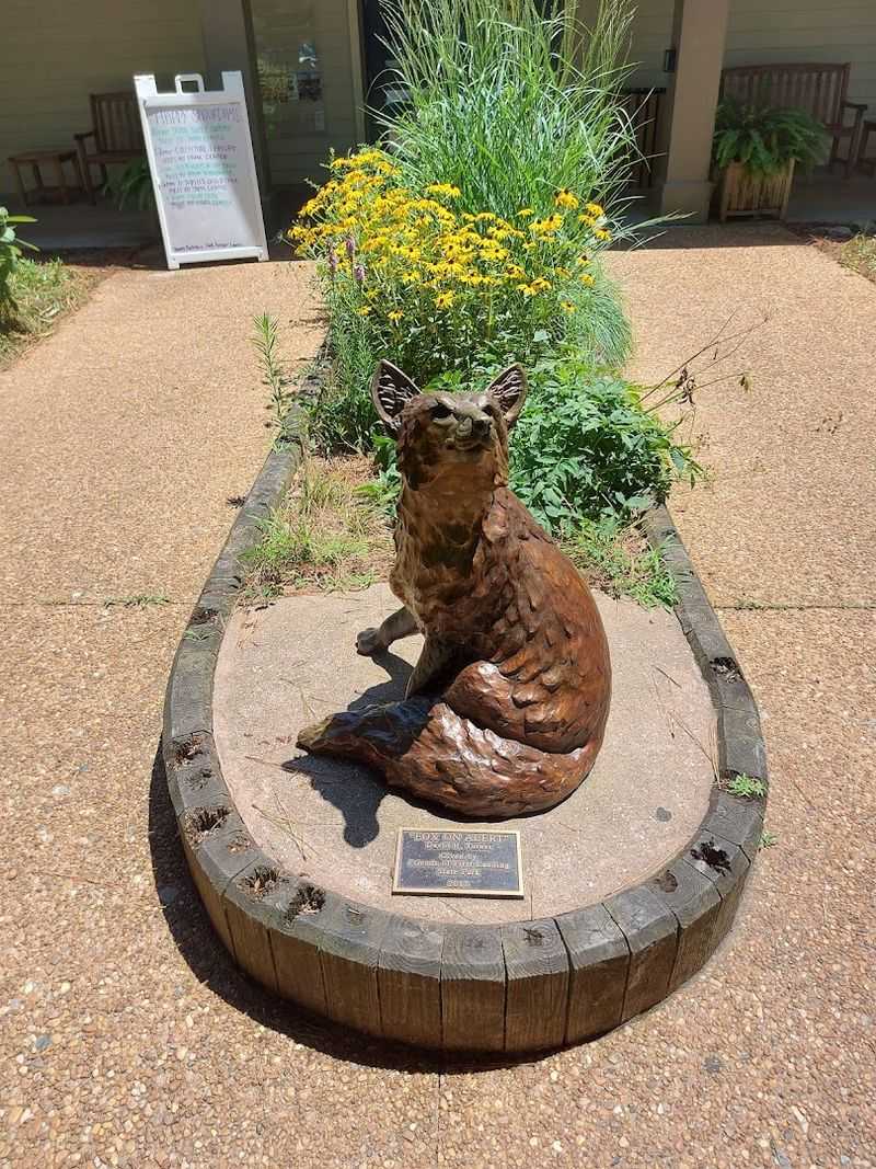 The Visitor Center That Actually Teaches You Something