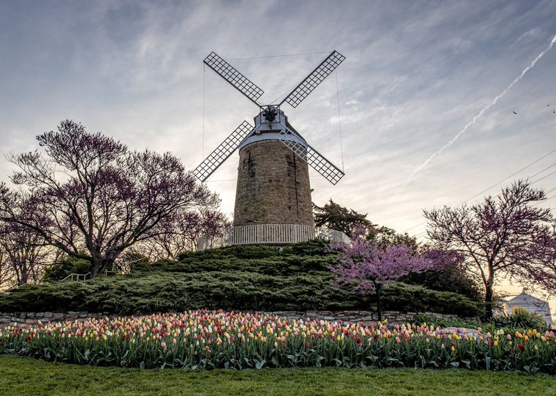The Dutch Windmill Stop That Makes Photos Feel Effortless