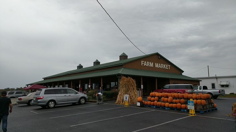 Festival Season Turns the Whole Farm Into a Party
