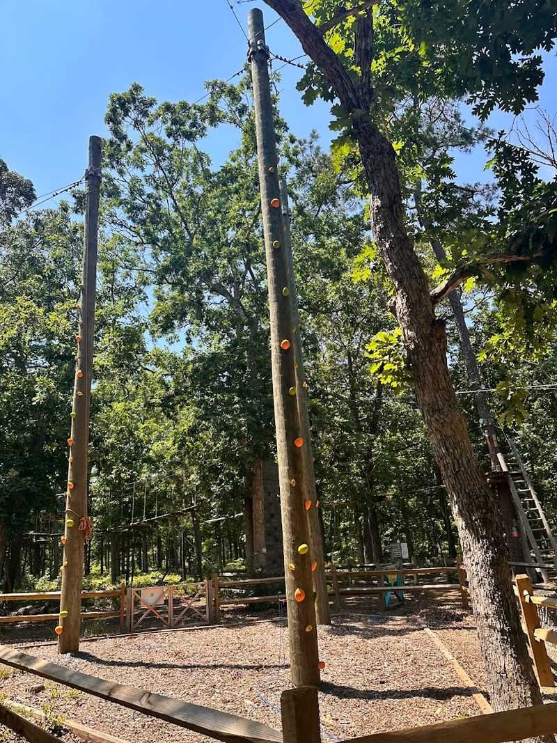 Monkey Grove Rock Climbing for the Youngest Adventurers