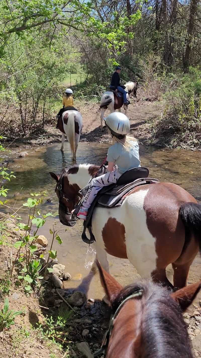 An Ideal Celebration Destination for Special Occasions