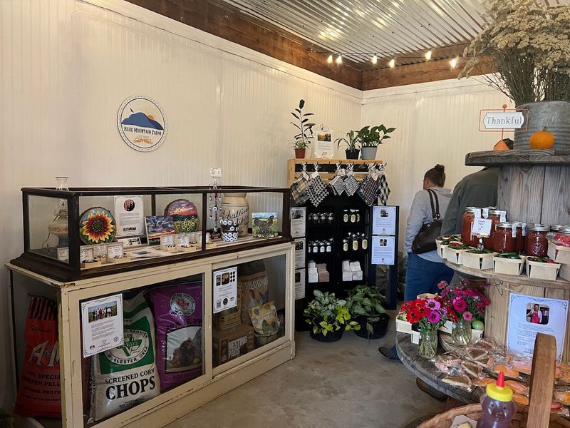 The General Store Layout Is a Carefully Curated Experience