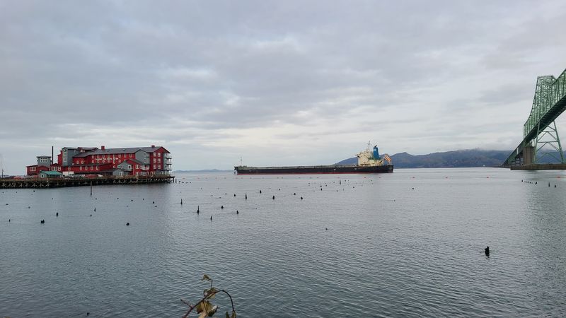 Massive Container Ships: The Star of the Show