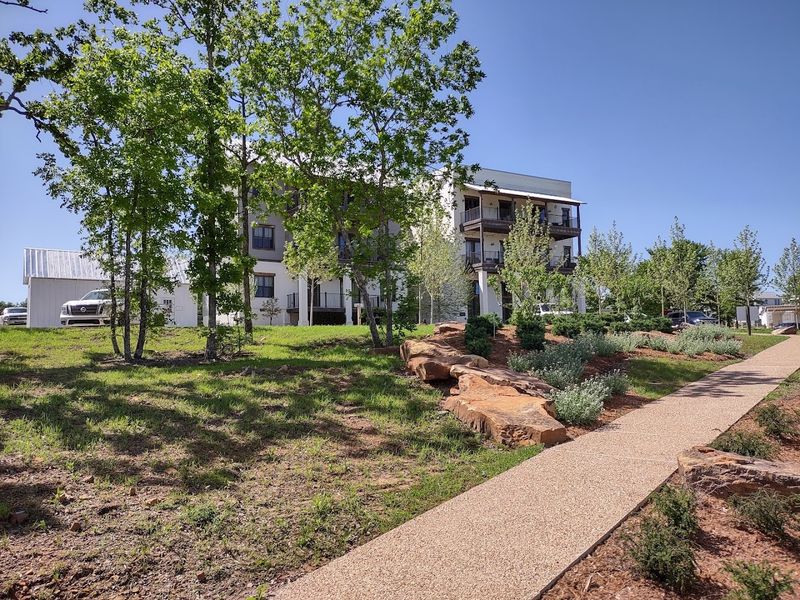Boardwalk Paths That Invite You to Wander Slowly