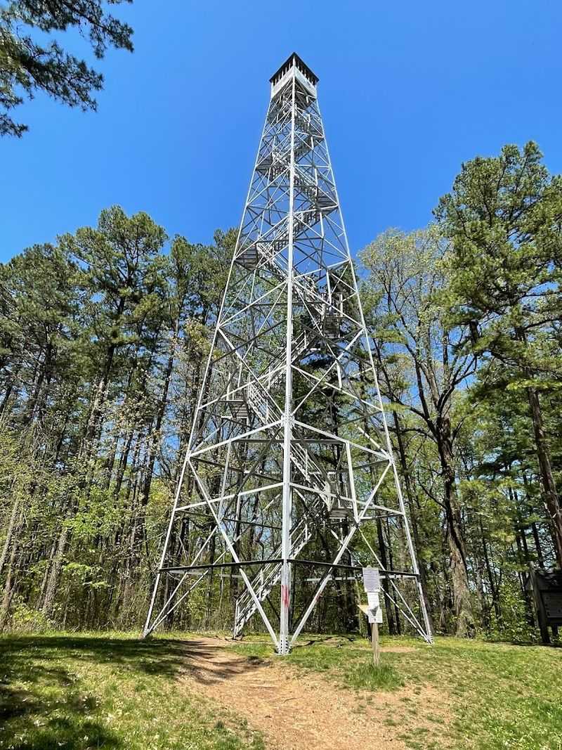 The Fire Tower Lookout With a Forest-Wide View