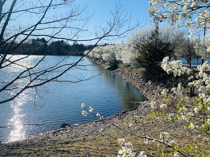 Woodcliff Lake (Bergen County)