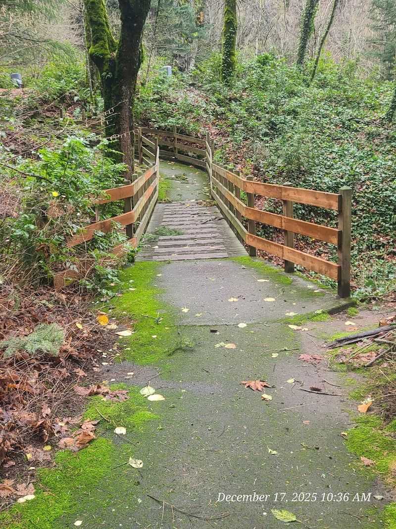 The Trail Itself: Easier Than You Think, More Rewarding Than You Expect