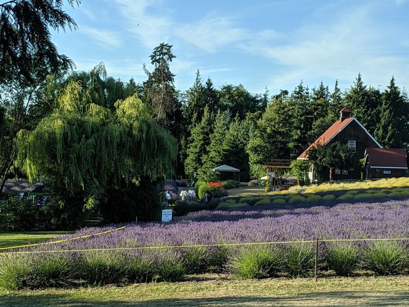 A Storybook Farm Setting