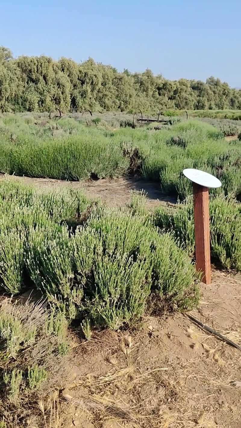 The Kind Of Place That Feels Calm In All The Right Ways