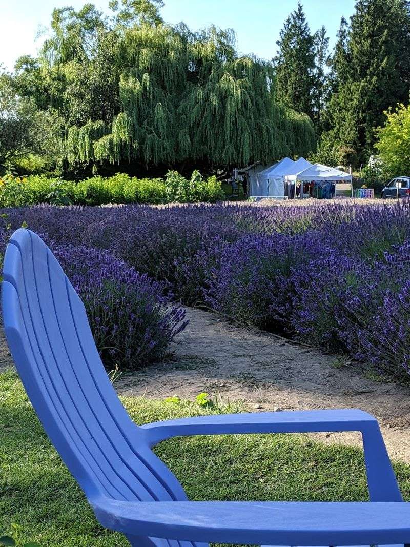 U-Pick Season Adds To The Fun