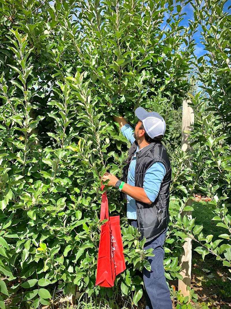 Wightman Farms, New Jersey