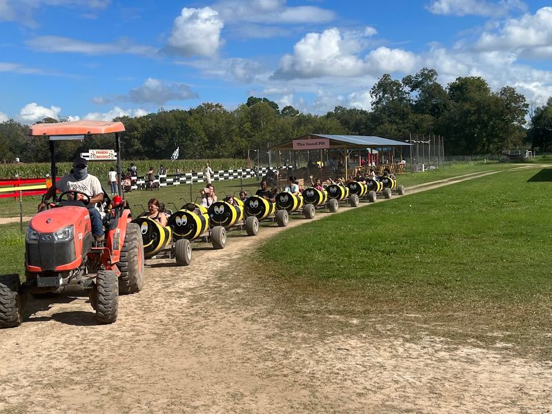 Why Froberg's Farm Keeps Bringing People Back