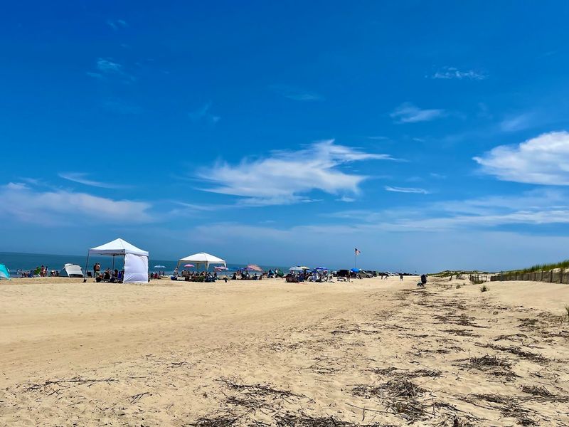 Cape Henlopen State Park Beach Access 