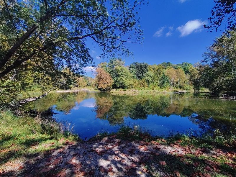 Bald Eagle Nesting Site