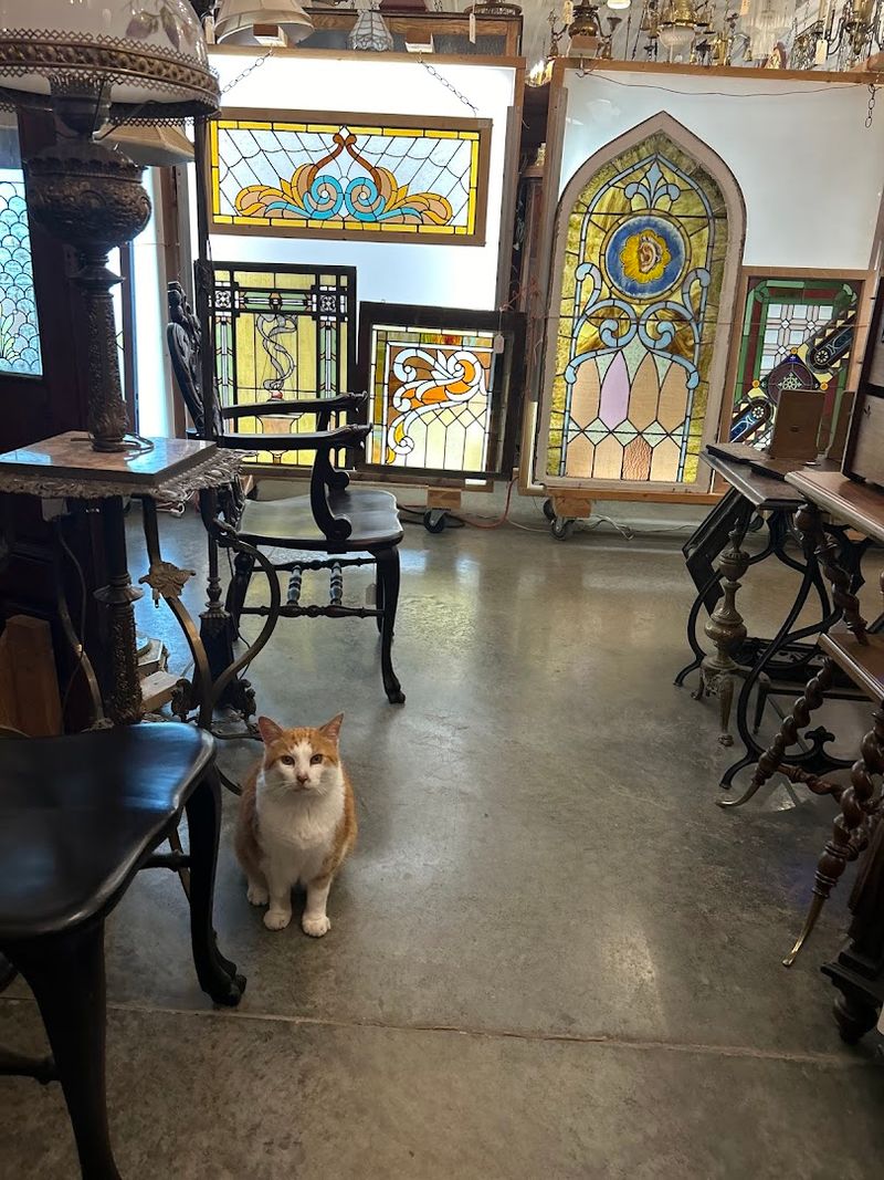 Stained Glass Windows and Architectural Pieces Worth Discovering