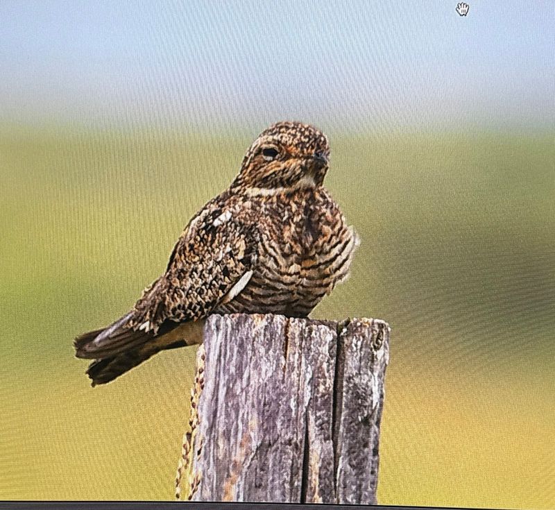 Practical Tips Make the Difference Between a Good Trip and a Great One