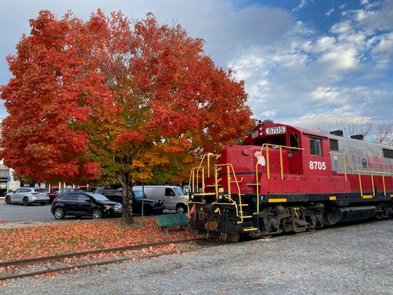 Time It Right For Seasonal Trips Like Fall Foliage And Holiday Rides
