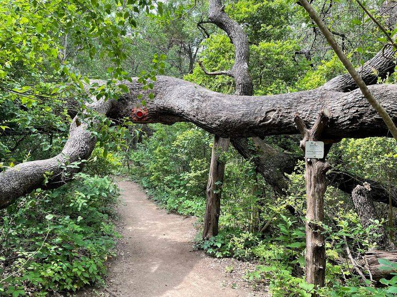 Panther Hollow Trail and the Views That Open Up