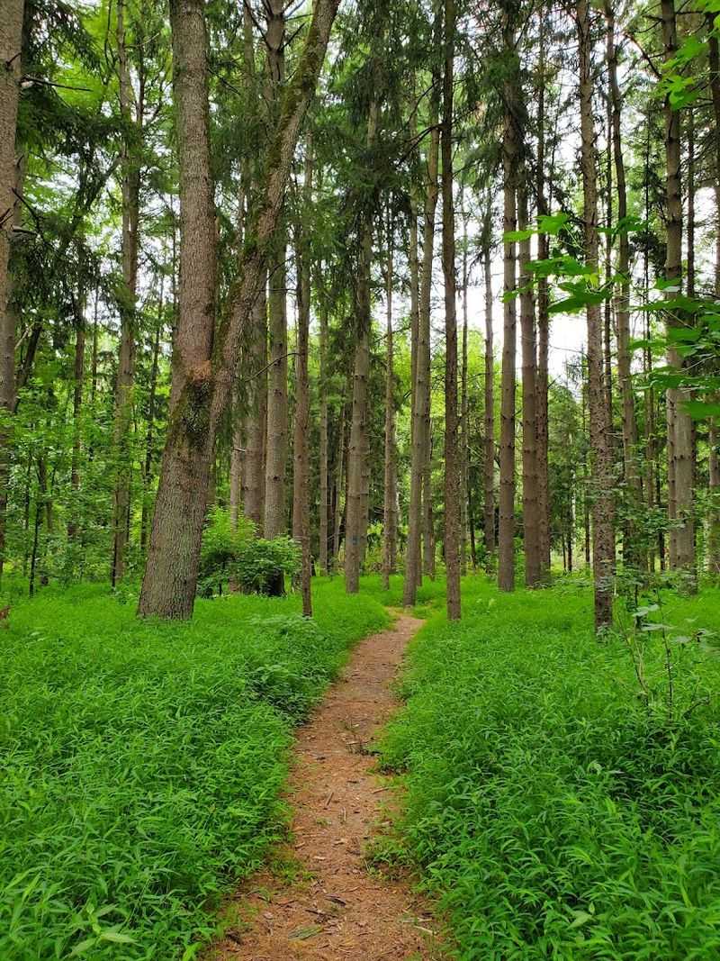 Trail Accessibility for Every Age and Ability