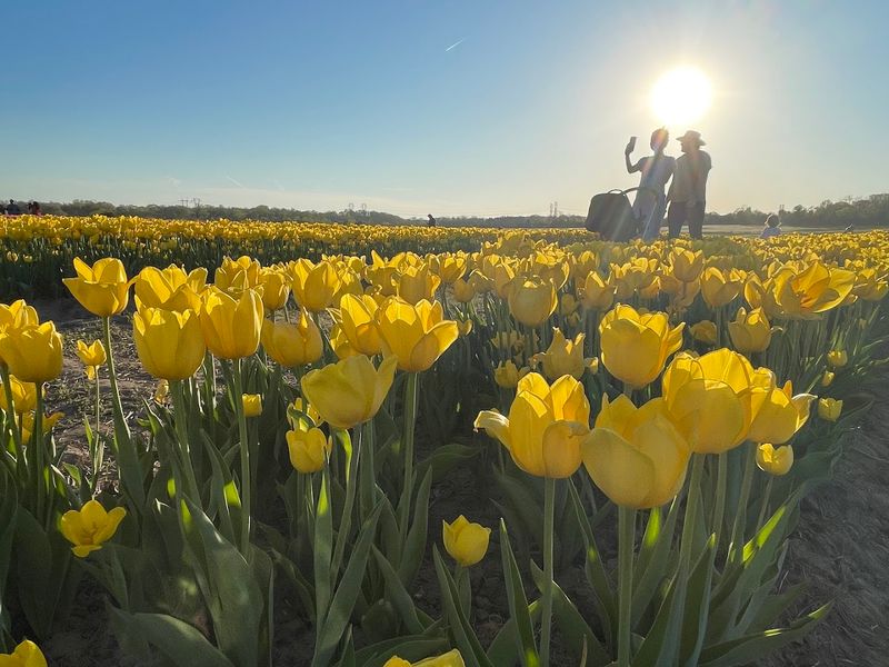 Photography Paradise, Tips for Stunning Shots