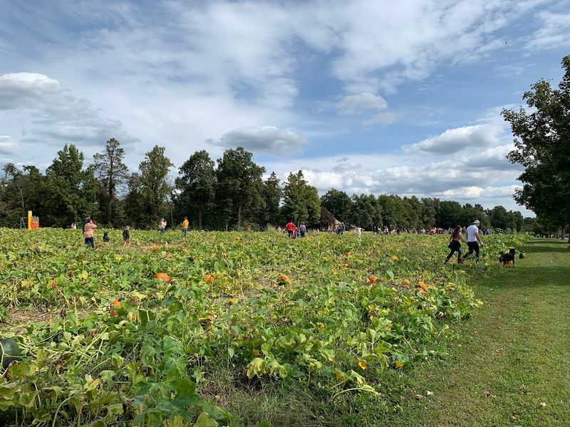 Family Fun Park and Activities for Kids