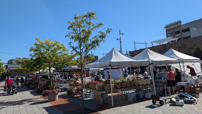 Weekend Mornings at Metuchen Farmers Market: The Borough's Best-Kept Secret