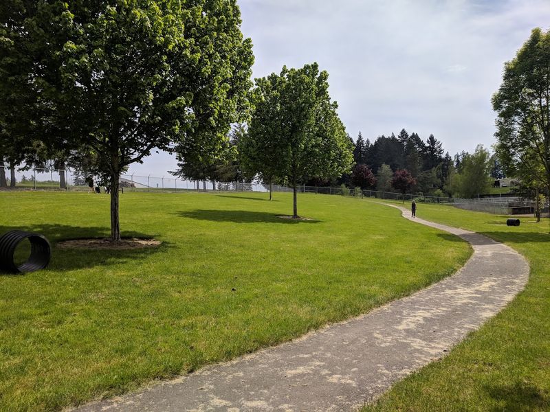 Linfield University Campus: Blooms, History, and a Beautiful Walk