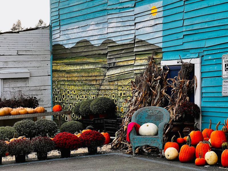 Seasonal Pumpkins and Fall Harvest Finds