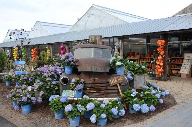 Outdoor Patio Moments When The Weather Cooperates