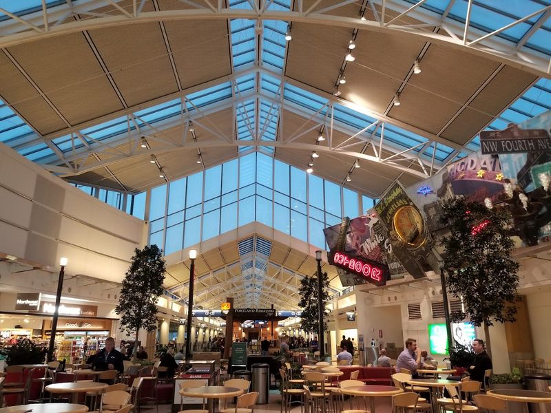 Live Trees Growing Inside the Terminal: Nature Has Moved In