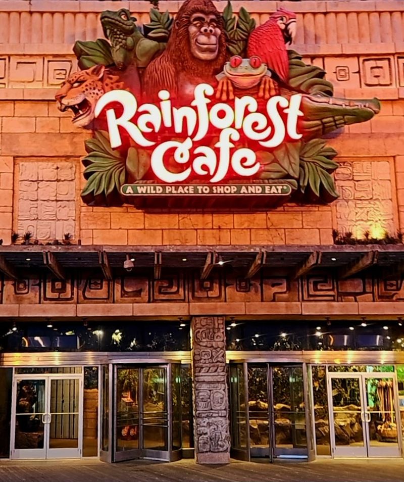 Why Rainforest Cafe Is Worth the Trip From Anywhere in New Jersey