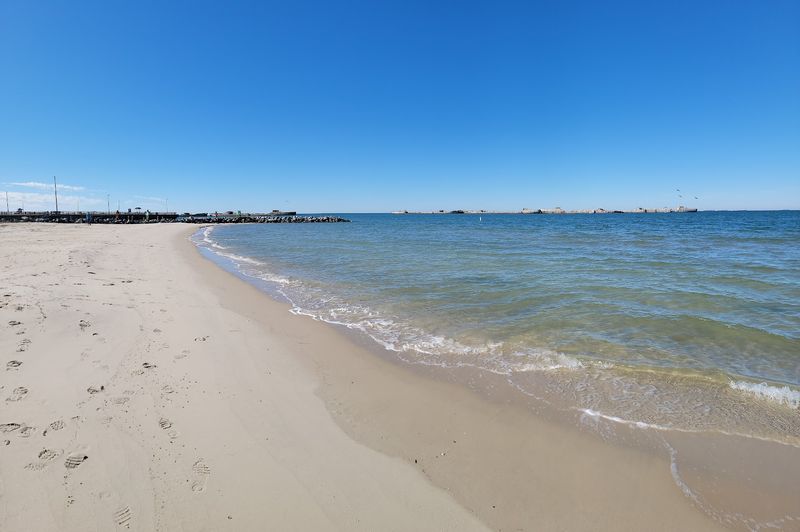 The Beach Where Kids Rule and Dogs Roam Free