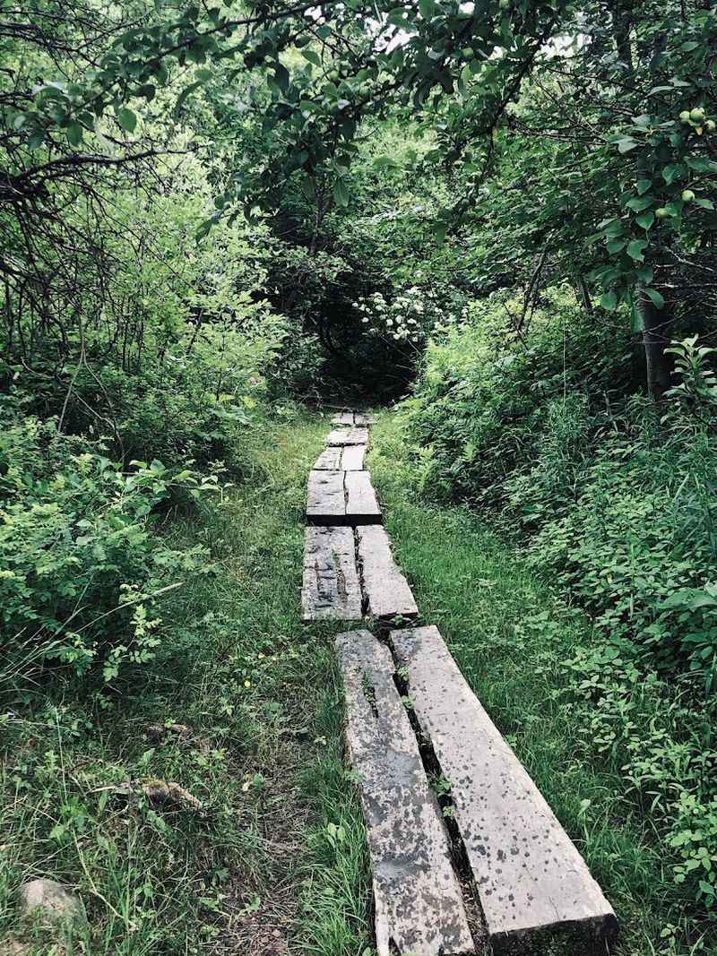 Historic Sea Captains’ Homes Walk