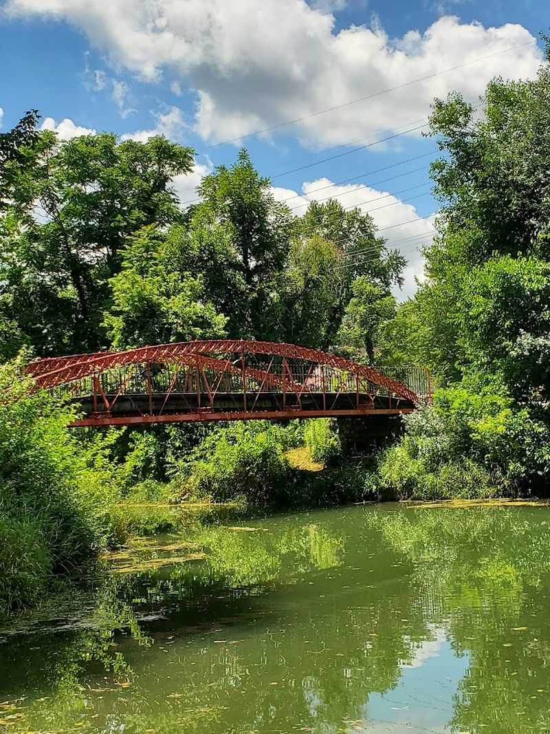 Wildlife Watching That Rivals Any State Park in Indiana