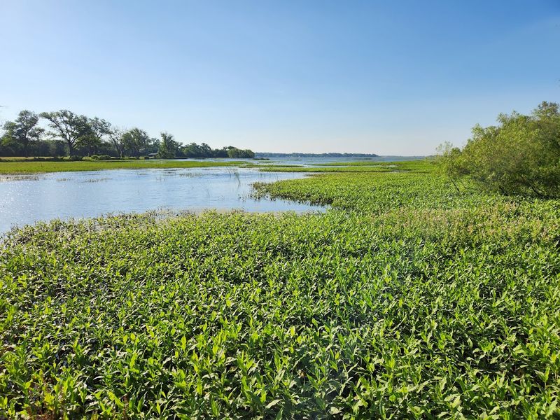 The Views From the Middle of the Lake Are Unforgettable