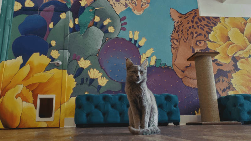 Kid Guidelines That Make It Better For Everyone Inside