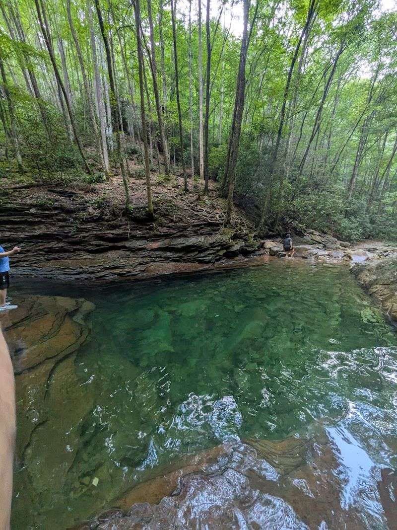 Seven Unique Hiking Trails for Every Skill Level