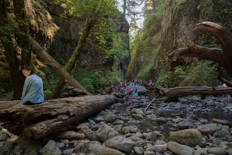 The Fallen Log Obstacle That Adds to the Adventure