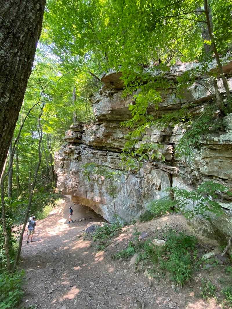 Upper Trail for a Different Kind of Adventure