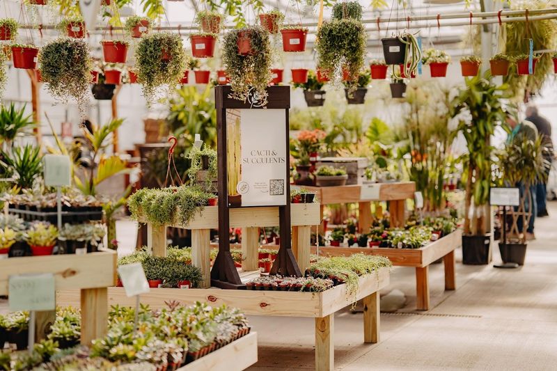 Plant Shopping First, Then Coffee Somehow Becomes The Plan