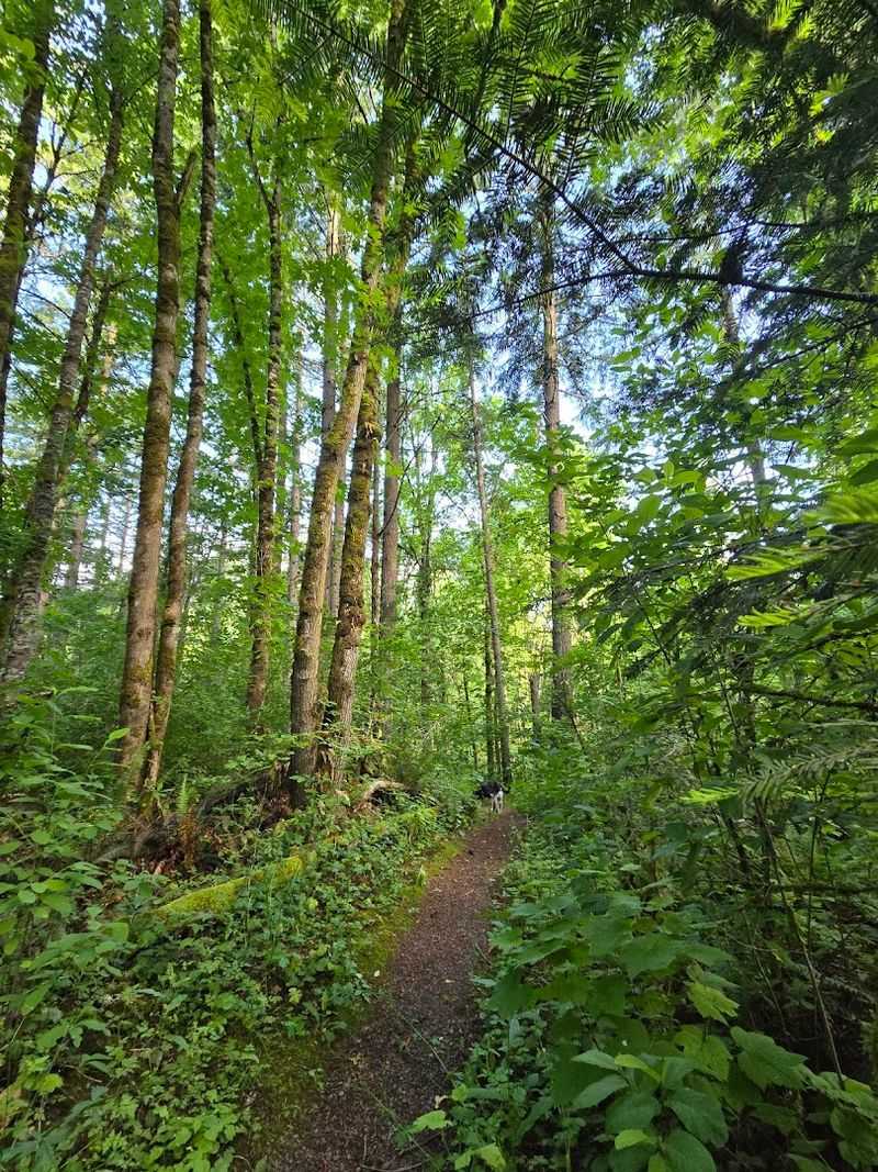 Willamette Valley Scenic Bikeway, Salem to Brownsville, Oregon