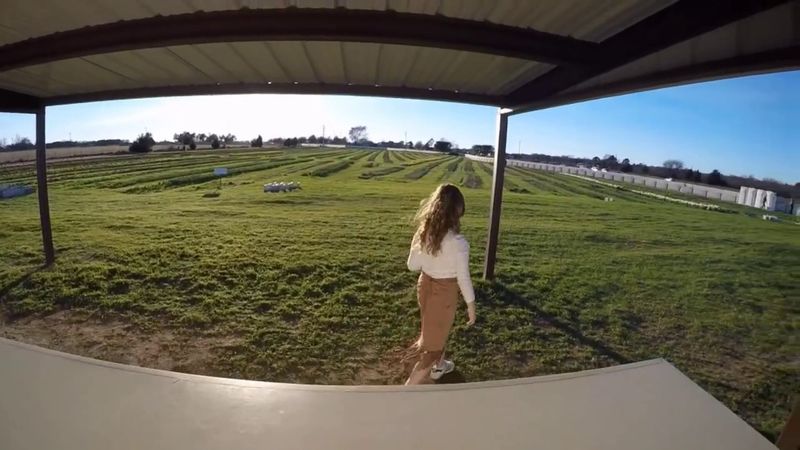 The Drive to Pilot Point and the Surrounding Area