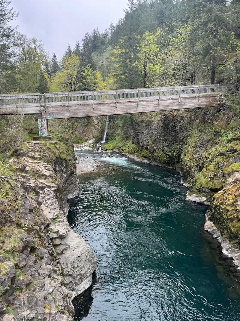 Tillamook Forest Trail and Wilson River Corridor, Tillamook, Oregon