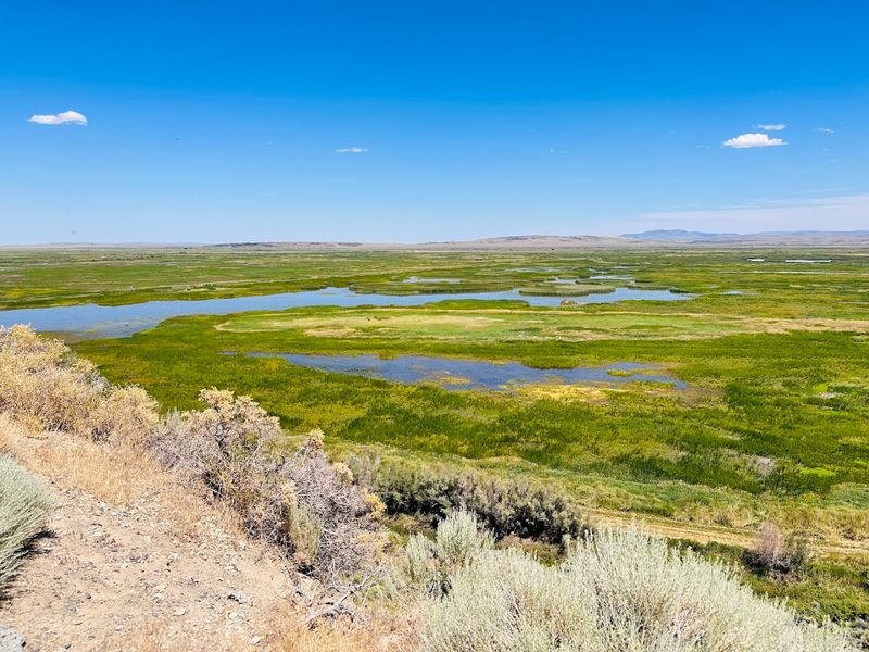 Best Times to Visit and What to Expect Each Season