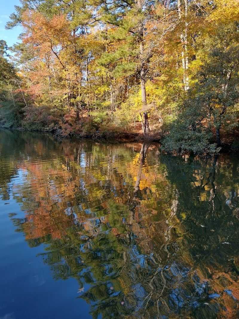 The Chesapeake Bay Connection: Why Location Matters