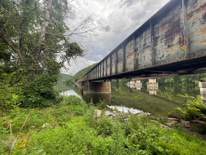 Catching a Freight Train Rolling Past on the Parallel Trestle